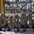 An Bord der Gorch Fock