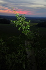 Rotenberg Sonnenuntergang
