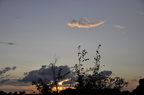 Sonne Wolke Busch 