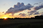 Sonne Wolke Feld