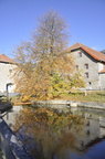 Meierhof