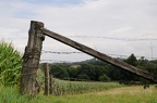 Zaunbilder