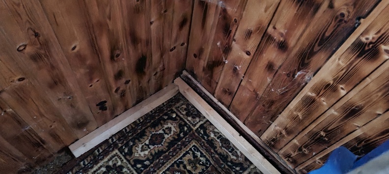 20221126_091843.jpg